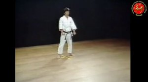 07 - Ката Бассай-Дай (Bassai-Dai) Шотокан Каратэ