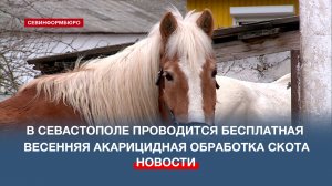 В Севастополе проводят весеннюю обработку сельскохозяйственных животных от паразитов