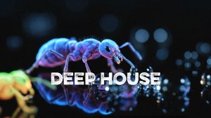 Музыка в Машину 2026 🚘 | Deep House Микс | музыка для фона
