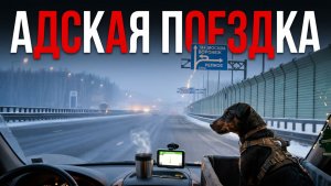 С Ягдтерьером на машине ч.2