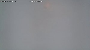 LIVE: channel43489494