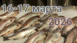 16 и 17 марта 2026. Не удалось доехать до зубной поликлиники...