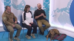 Программы ДПО СевГУ по кинологии