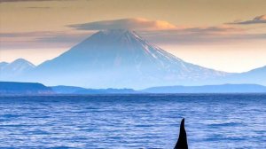 🎼. Two Steps From Hell – Star Sky