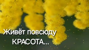 Первые цветы и звуки ВЕСНЫ | Фотопроект "Живёт повсюду Красота"