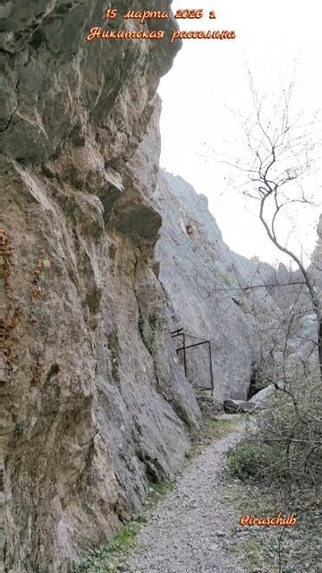 15 марта 2026 г. Никитская расселина #ялта #ялта2026 #никитскаярасселина