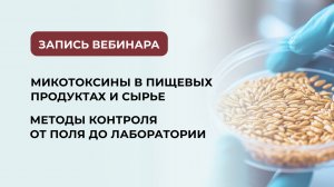 Микотоксины в пищевых продуктах и сырье: методы контроля от поля до лаборатории