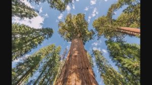 Намек на нас (cover)