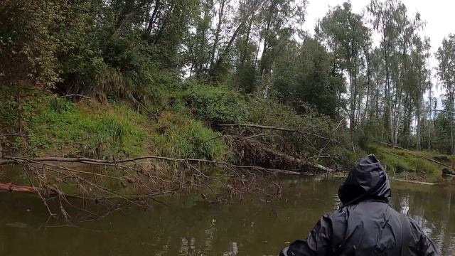 Трофейные щуки на спиннинг !