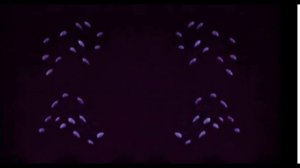 Спокойной ночи малыши Crying CoNFUsIoN 1983 ГОДА КАЧЕСТВО:720Р Нет Посторонних звуков Топ