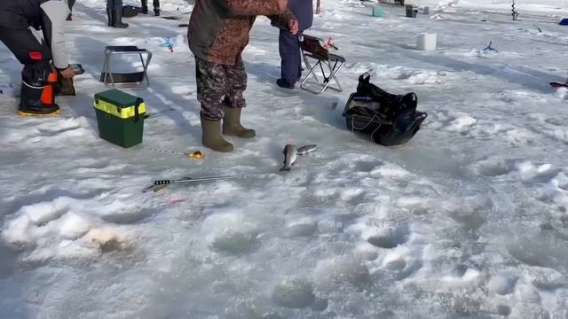 17.03.26 г. РК Волна. смотреть онлайн