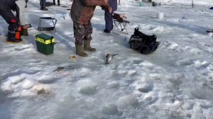 17.03.26 г. РК Волна.