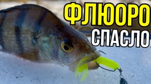 Паводок на малой реке. Почему Lox замолчал, а флуоресцентный  спас день?