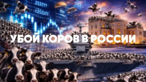 В России убивают коров, Иран перекрывает нефть, Telegram блокируют? Главные скандалы недели