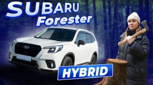 FORESTER SKE HYBRID ДО 160 Л.С. — СТОИТ ЛИ БРАТЬ В 2026?