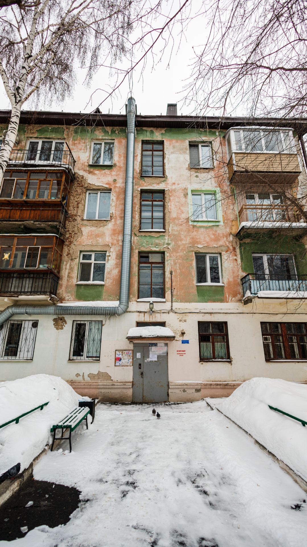 Canon R8 + Canon RF 16mm f2.8 STM