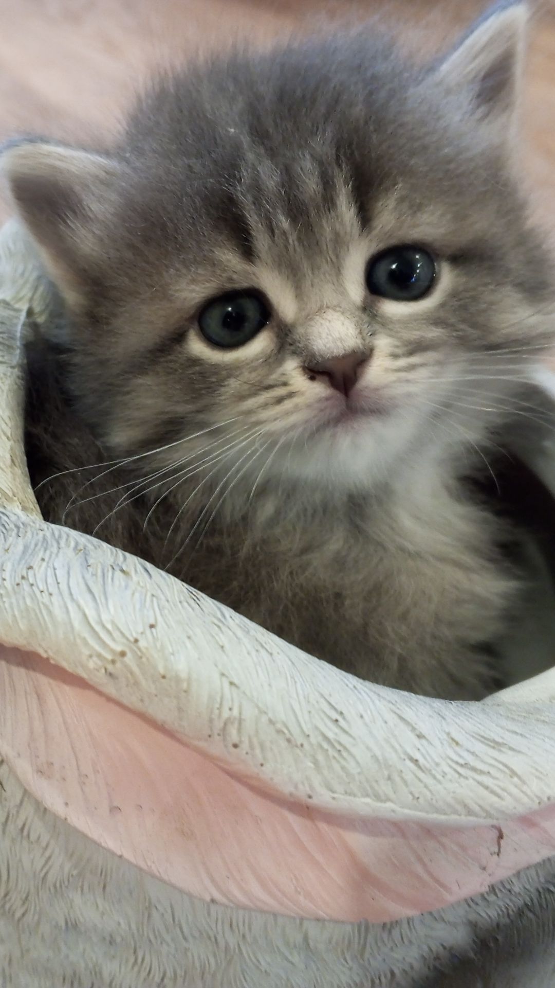 Хватит спать, пора умываться!