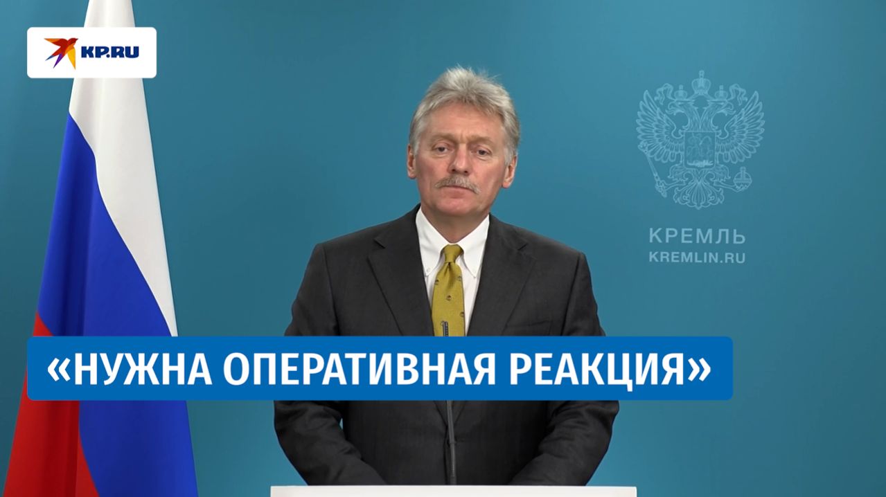 Песков прокомментировал забой скота в Новосибирской области