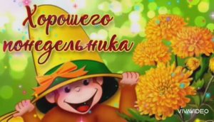 С ДОБРЫМ УТРОМ ! ДОБРОГО И УДАЧНОГО ДНЯ ПОНЕДЕЛЬНИКА.