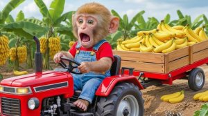 Обезбянка ПАНЧ работает на ферме 1 серия