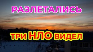 Разлетались Тут разные Неопознанные