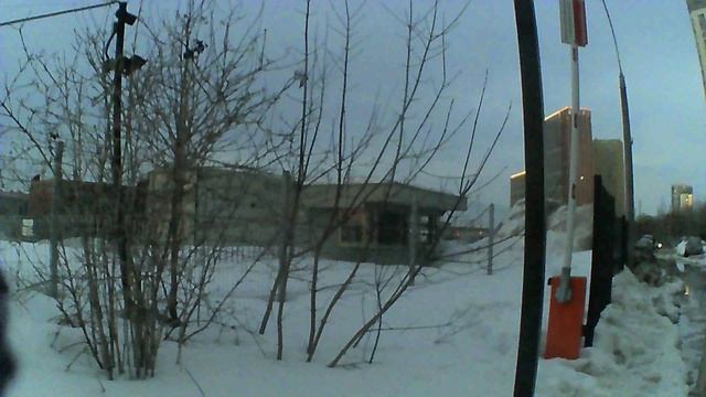 СТАЛК +ПАРКУР