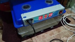 Подготовка инкубатора и яйца к инкубации.