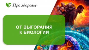 От выгорания к биологии