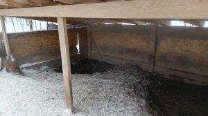 Охота на Кабана