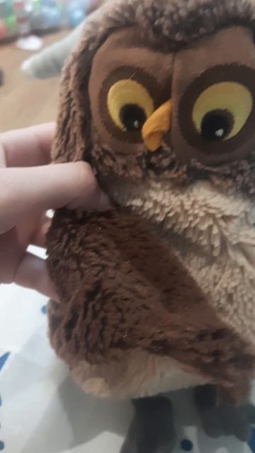 У Фили бомбануло