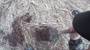 Нашёл старинное кольцо в заброшенной деревне