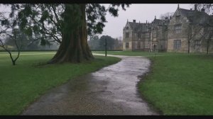 Под проливным дождем 🌧️ Прогулка на природе. Звуки парка и проливного дождя для сна и учебы