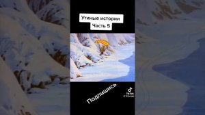 🎬Утиные истории