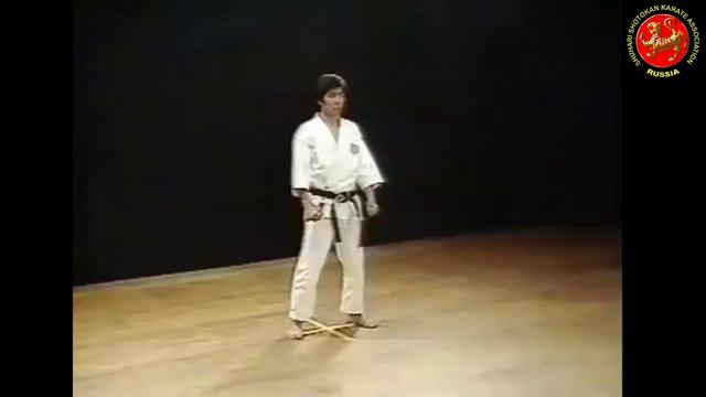 02 - Ката Хэйан Нидан (Heian Nidan) Шотокан Каратэ