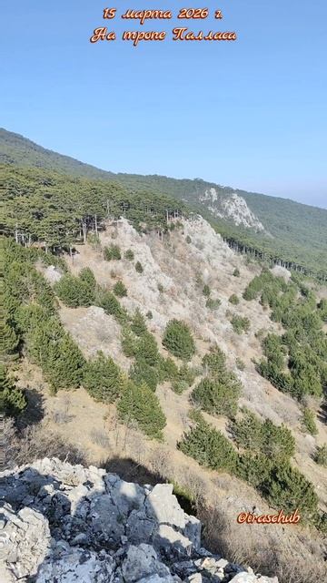 15 марта 2026 г. На тропе Палласа #ялта #ялта2026 #тропапалласа #никитскаярасселина