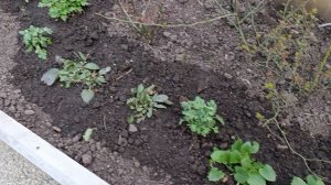 Настоящая весна и работы весенние