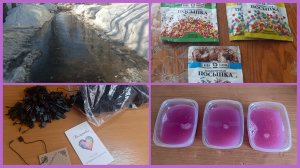 16-03-2026💥Влог💥понедельник 📖комментарии