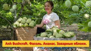 Anh Bushcraft. Будни на ферме .Фасоль. Медовый ананас.Заварные яблоки.