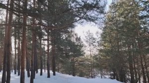 Работай больше и твой начальник купит себе новый особняк!