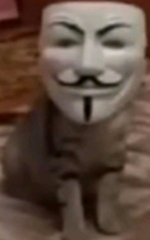 ВОЙНА С ДРУОМ