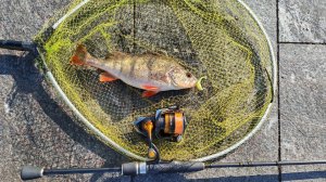 МР, набережная Шагала. Первый визит