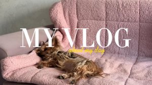 продуктивный день одиннадцатиклассницы