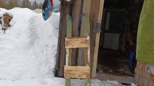 Выставка пчел
Пермский край