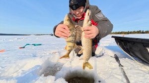 ЩУКА И ОКУНЬ ИЗ ОДНОЙ ЛУНКИ НА ЖЕРЛИЦУ! РЫБАЛКА НА ОЗЕРЕ НА УДОЧКУ И ЖЕРЛИЦЫ!