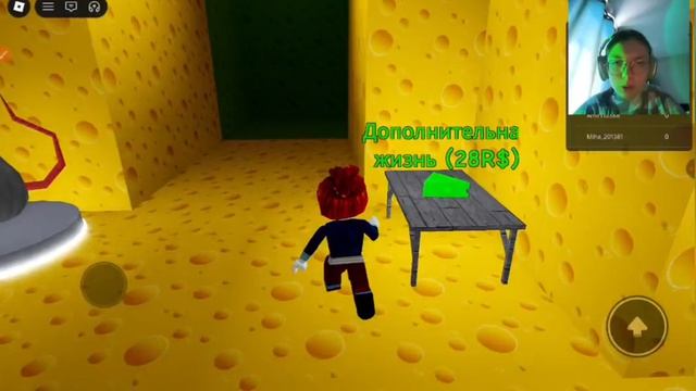 Играю в роблокс????