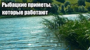 Топ рыболовных примет, которые обязательно работают: проверено опытными рыбаками