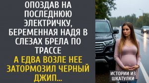 Истории из жизни Опоздав на последнюю электричку, беременная Надя в слезах брела по трассе…