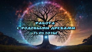 Работа с Родовыми Древами 25.01.2026г