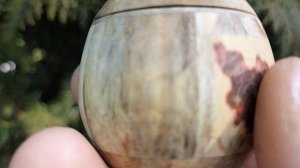 Шкатулка в парке на туе