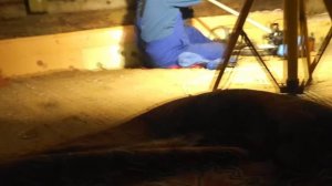 Весна  пришла . Насос  сгорел  меняем  на новый...